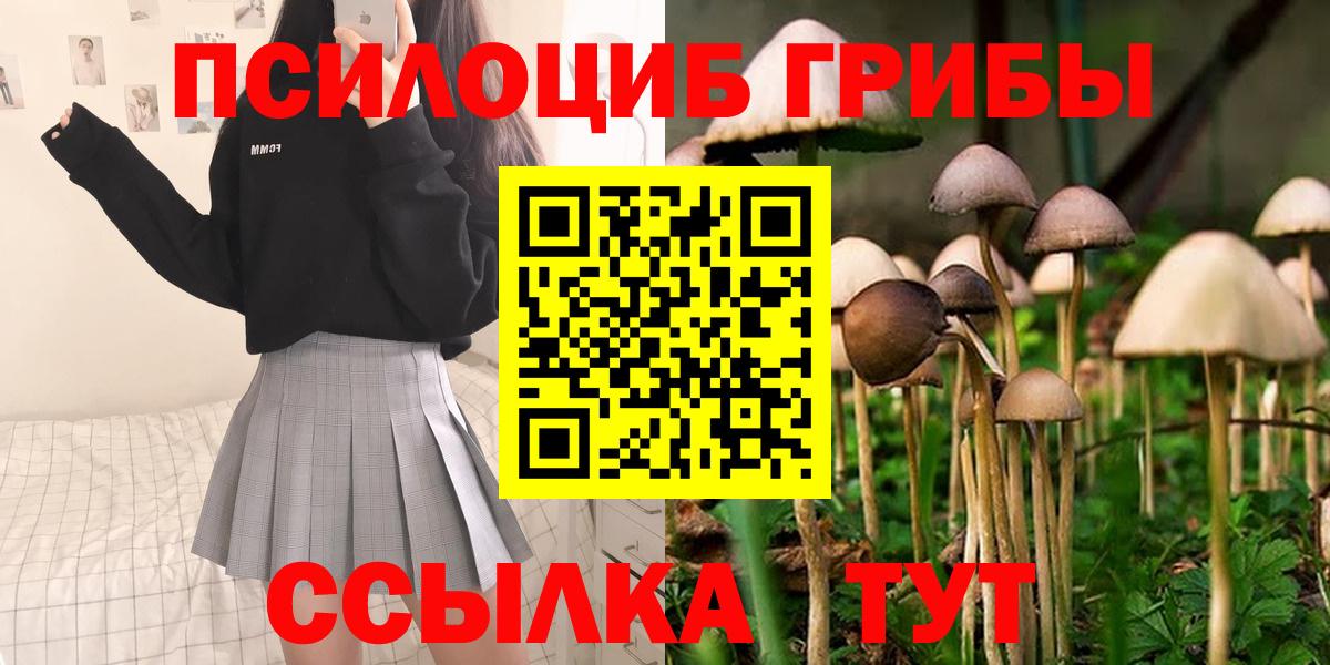 где найти наркотики  Вход с VPN  Санкт-Петербург  Галлюциногенные грибы GOLDEN TEACHER 